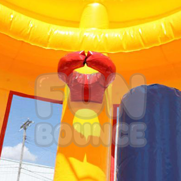 Birthday Cake Bouncer