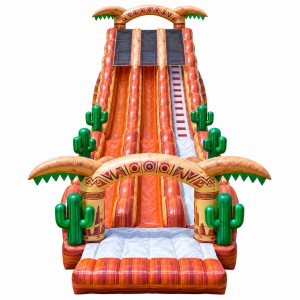 Desert Cactus Theme Double Lane Inflatable Slide for Birthday Celebrations - Image 3