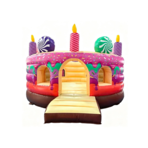 Birthday Cake Bouncer