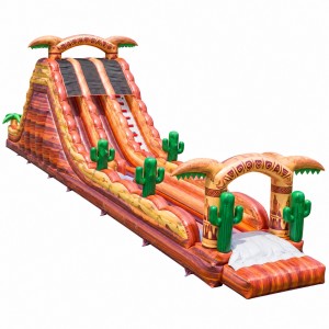 Desert Cactus Theme Double Lane Inflatable Slide for Birthday Celebrations - Image 4